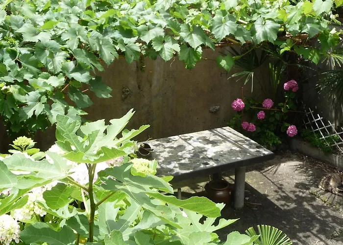 D'hotes L'oustal Oloron-Sainte-Marie